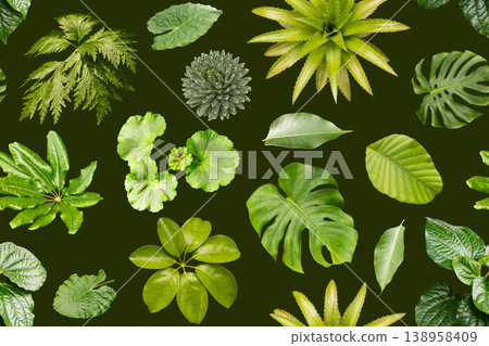 The design shows a seamless pattern filled with different types of green leaves. The leaves are arranged tightly against a dark background 138958409