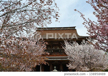 吉野山的櫻花,吉野山是世界遺產「紀伊山脈的聖地和朝聖之路」的一部分。 吉野山的櫻花,吉野山是世界遺產「紀伊山脈的聖地和朝聖之路」的一部分。 138958489