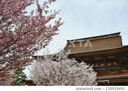 Cherry blossoms at Yoshino Mountain, part of the World Heritage Site "Sacred Sites and Pilgrimage Routes in the Kii Mountain Range". 138958491