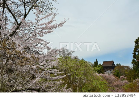 Cherry blossoms at Yoshino Mountain, part of the World Heritage Site "Sacred Sites and Pilgrimage Routes in the Kii Mountain Range". Cherry blossoms at Yoshino Mountain, part of the World Heritage Site "Sacred Sites and Pilgrimage Routes in the Kii Mountain Range". 138958494