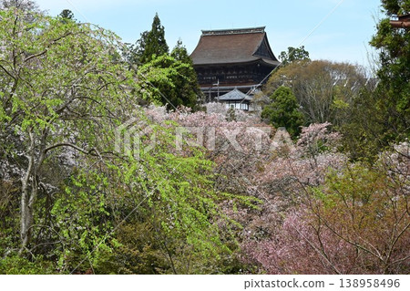 Cherry blossoms at Yoshino Mountain, part of the World Heritage Site "Sacred Sites and Pilgrimage Routes in the Kii Mountain Range". Cherry blossoms at Yoshino Mountain, part of the World Heritage Site "Sacred Sites and Pilgrimage Routes in the Kii Mountain Range". 138958496