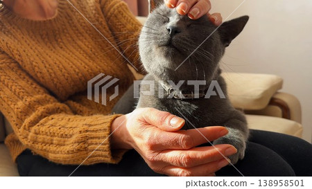 Adult female arms strokes head of cute gray cat lying on her knees at home. Hands of woman petting adorable domestic kitten at house. Concept of care and love to animal. Slow motion 138958501