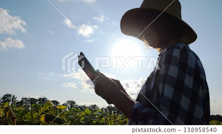 Female agronomist using digital tablet at sunflower meadow at sunny day. Adult farmer monitoring harvest at yellow flower field at sunset. Beautiful scenic landscape. Concept of agricultural business 138958540