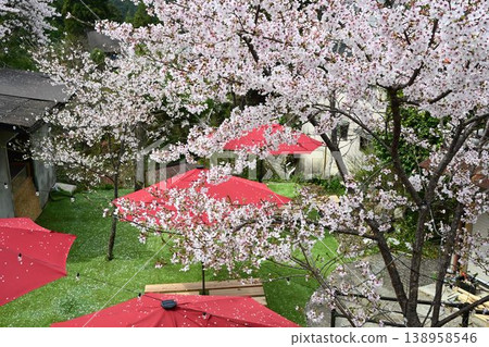 Cherry blossoms at Yoshino Mountain, part of the World Heritage Site "Sacred Sites and Pilgrimage Routes in the Kii Mountain Range". Cherry blossoms at Yoshino Mountain, part of the World Heritage Site "Sacred Sites and Pilgrimage Routes in the Kii Mountain Range". 138958546