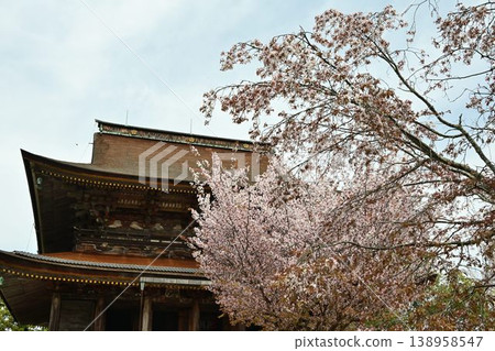 Cherry blossoms at Yoshino Mountain, part of the World Heritage Site "Sacred Sites and Pilgrimage Routes in the Kii Mountain Range". 138958547