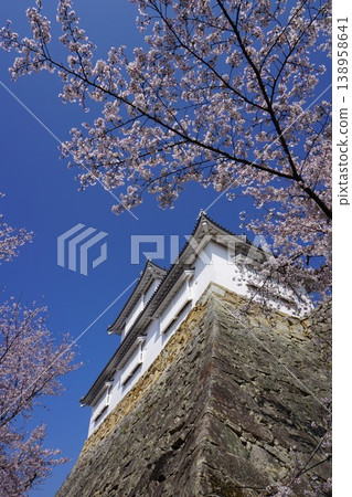 "Tsuruyama Park (Tsuyama Castle Fort)", one of the 100 most famous cherry blossom spots in Tsuyama City, Okayama Prefecture: Binaka Pass "Tsuruyama Park (Tsuyama Castle Fort)", one of the 100 most famous cherry blossom spots in Tsuyama City, Okayama Prefecture: Binaka Pass 138958641