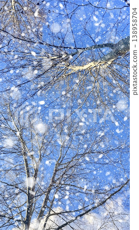 Snowfall Over Winter Trees. Beautiful winter scene of snow falling through bare branches against a clear blue sky. Perfect for seasonal backgrounds and nature concepts. Snowfall Over Winter Trees. Beautiful winter scene of snow falling through bare branches against a clear blue sky. Perfect for seasonal backgrounds and nature concepts. 138958704