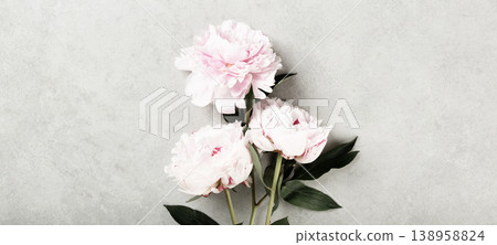 Soft Pink Peonies on Light Stone Background Soft Pink Peonies on Light Stone Background 138958824