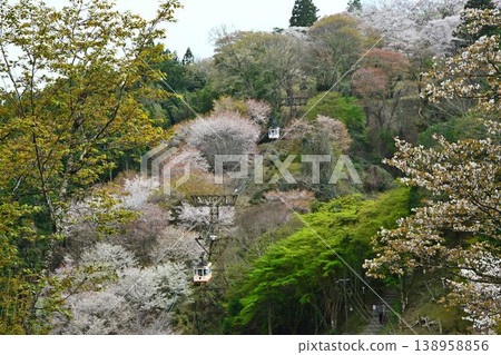 Cherry blossoms at Yoshino Mountain, part of the World Heritage Site "Sacred Sites and Pilgrimage Routes in the Kii Mountain Range". 138958856