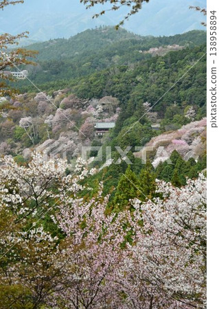 Cherry blossoms at Yoshino Mountain, part of the World Heritage Site "Sacred Sites and Pilgrimage Routes in the Kii Mountain Range". 138958894