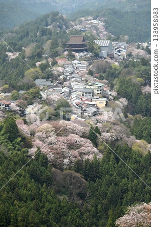 Cherry blossoms at Yoshino Mountain, part of the World Heritage Site "Sacred Sites and Pilgrimage Routes in the Kii Mountain Range". 138958983