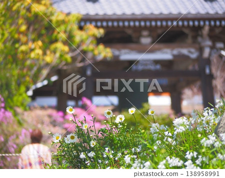 禪住禪寺：花與人的寺廟景觀 138958991