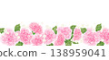 Pink carnation (horizontal, bottom) 138959041