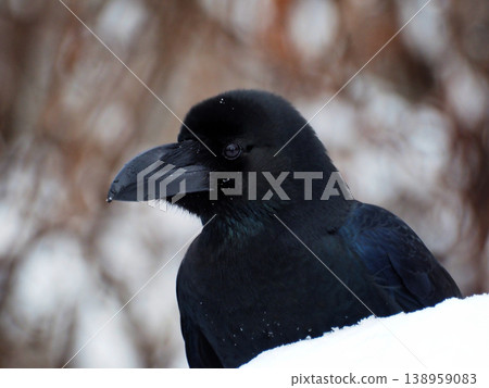 瓢蟲玻璃 138959083