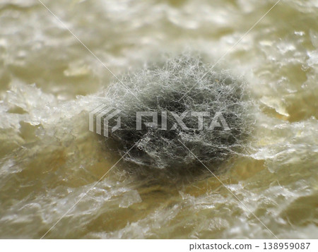 Bread mold Bread mold 138959087