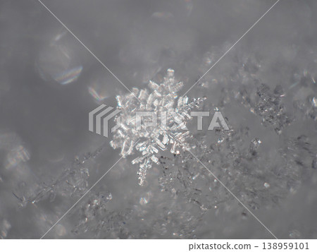 雪花 138959101