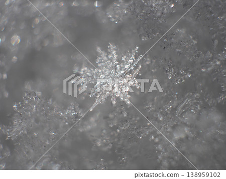 Crystal of snow	 138959102