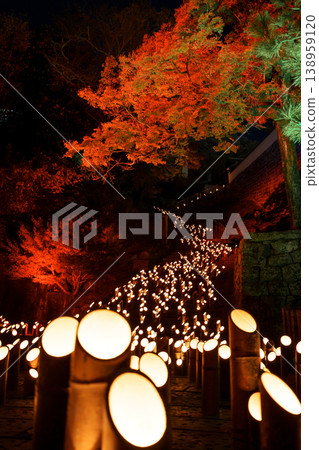 Illuminated bamboo and autumn leaves Illuminated bamboo and autumn leaves 138959120