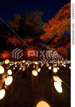 Bamboo lanterns in Taketa City, Oita Prefecture Bamboo lanterns in Taketa City, Oita Prefecture 138959125