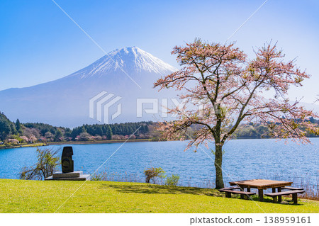 (Shizuoka Prefecture) Cherry blossoms blooming on the shores of Lake Tanuki, with Mount Fuji dazzling in the backlight. 138959161