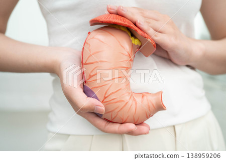 Stomach disease, Asian woman holding anatomy model for study diagnosis and treatment in hospital. Stomach disease, Asian woman holding anatomy model for study diagnosis and treatment in hospital. 138959206