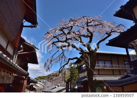 Kyoto Higashiyama Ninenzaka around the time the cherry blossoms bloom 138959507