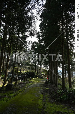 通往妙法寺(新潟縣長岡市)的山路與階梯 通往妙法寺(新潟縣長岡市)的山路與階梯 138959599