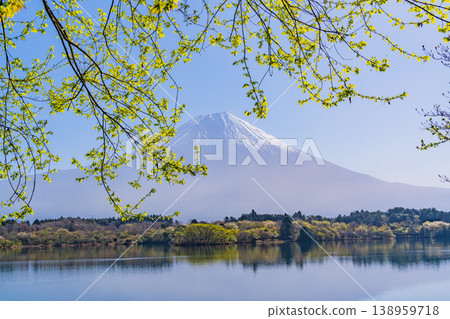 (Shizuoka Prefecture) Lake Tanuki, lush with fresh greenery, and Mount Fuji, dazzling in the backlight. 138959718