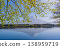 Water birds frolic on the calm surface of the lake, where the inverted reflection of Mount Fuji is visible. 138959719