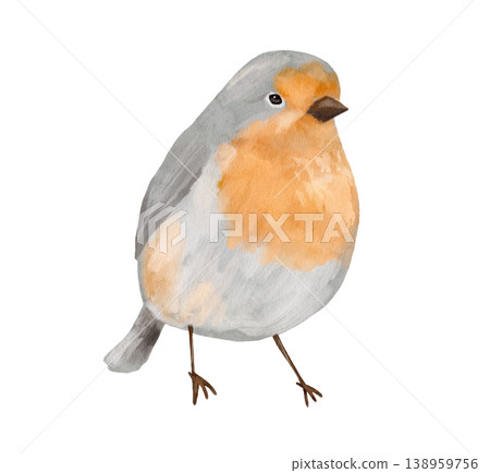 Watercolour forest bird with orange color. Isolated clipart. Hand drawn texture illustration Watercolour forest bird with orange color. Isolated clipart. Hand drawn texture illustration 138959756