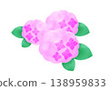 粉紅色的繡球花插圖 138959833