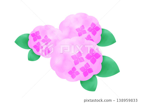 粉紅色的繡球花插圖 138959833