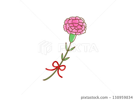簡單的粉紅康乃馨插畫 138959834