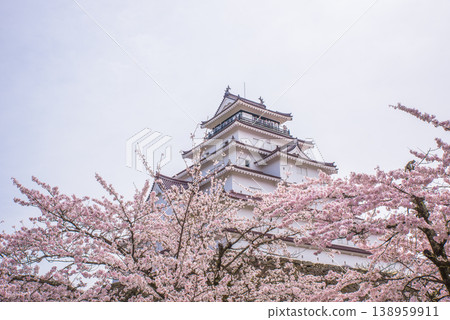 敦賀城(若松城)與盛開的櫻花:日本百大賞櫻勝地之一,日本百大城堡之一 敦賀城(若松城)與盛開的櫻花:日本百大賞櫻勝地之一,日本百大城堡之一 138959911
