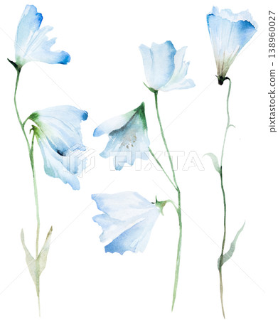 Watercolor hand drawn light blue bellflowers isolated illustration, floral wedding stationery 138960027