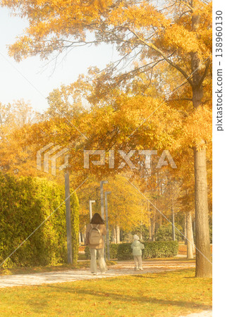 autumn trees in the park, yellow maple leaves and cypresses on a sunny day. soft effect. autumn trees in the park, yellow maple leaves and cypresses on a sunny day. soft effect. 138960130