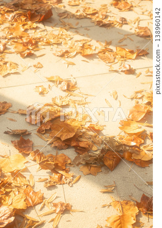 autumn yellow leaves lie on a concrete path in the park. soft effect. autumn yellow leaves lie on a concrete path in the park. soft effect. 138960142