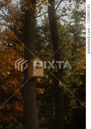 birdhouse on tree in public park. autumn trees in yellow and orange colors. soft effect. birdhouse on tree in public park. autumn trees in yellow and orange colors. soft effect. 138960143