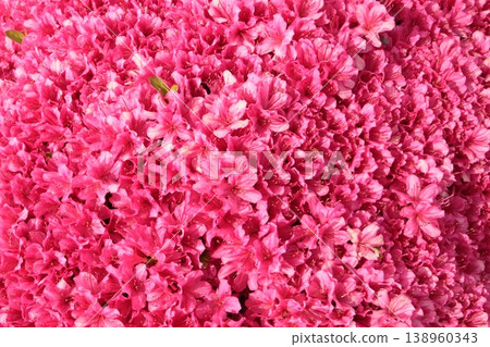 May flowers that can be used as wallpaper or background (horizontal view) 138960343