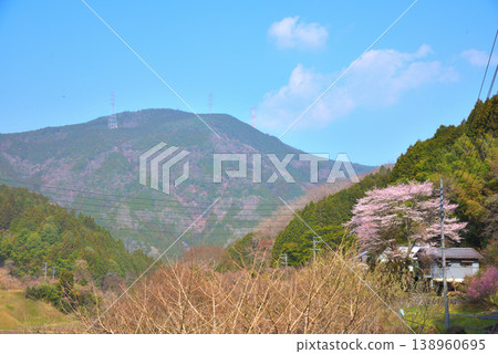 [Gifu Prefecture] Takenami-cho, Ena City: Cherry blossoms in full bloom and Mt. Kasagi 138960695