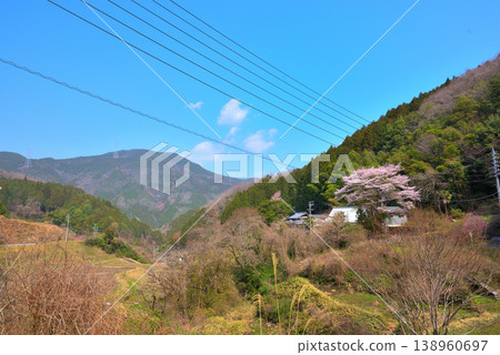 [Gifu Prefecture] Takenami-cho, Ena City: Cherry blossoms in full bloom and Mt. Kasagi 138960697