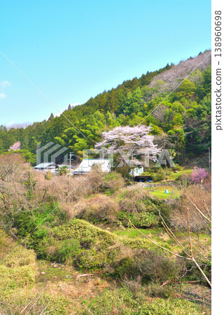 Gifu Prefecture, Ena City, Takenami Town: Cherry blossoms in full bloom and rural scenery Gifu Prefecture, Ena City, Takenami Town: Cherry blossoms in full bloom and rural scenery 138960698