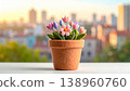 毛氈花朵和城市景觀—一種自然柔和的室內背景材料。 138960760