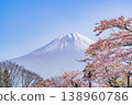 (Shizuoka Prefecture) Tanuki Lake Campground with cherry blossoms in bloom and Mount Fuji 138960786