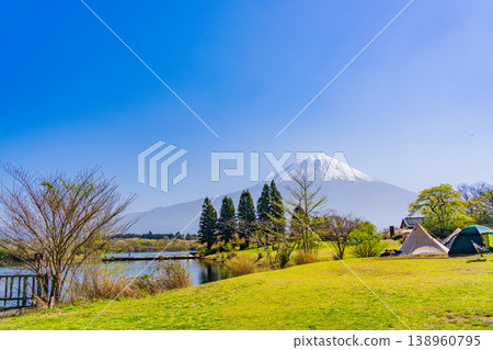 (Shizuoka Prefecture) Tanuki Lake Campground with cherry blossoms in bloom and Mount Fuji 138960795