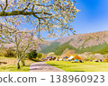 (Shizuoka Prefecture) Cherry blossoms bloom at Tanuki Lake Campground 138960923