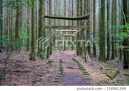 高岩神社入口處的鳥居(南島原市) 高岩神社入口處的鳥居(南島原市) 138961399