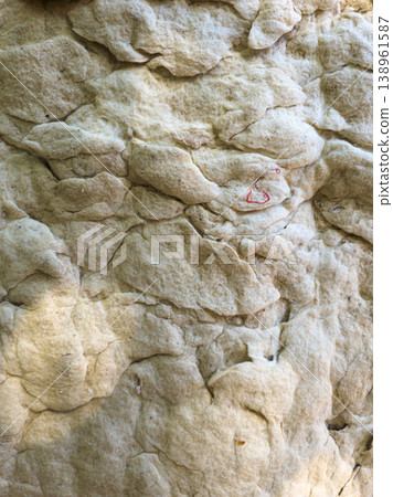 Close-up of an old cotton wool mat filler material with abstract texture indoors 138961587