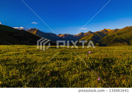 Serene wildflowers and mountains under clear sky in Kyrgyzstan Serene wildflowers and mountains under clear sky in Kyrgyzstan 138961641