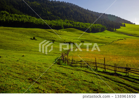 Cows grazing peacefully near wooden fence in rural landscape 138961650
